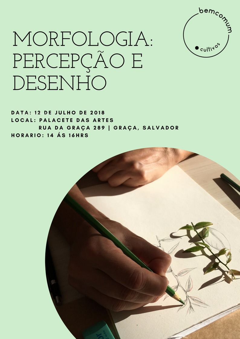 Morfologia das Plantas - Percepção e Desenho